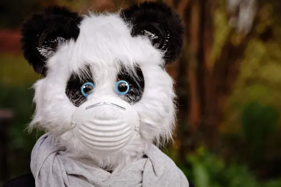 ベットオリジナル カジノ サポート